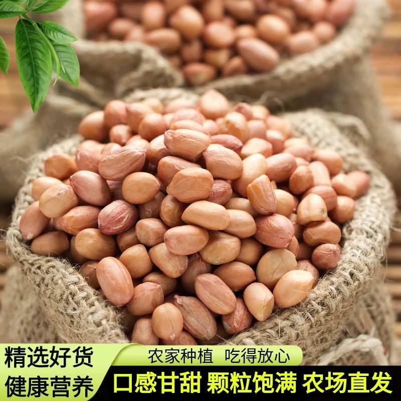 河南南阳白沙生花生米花生仁 晒干批发新货直供满减券可用