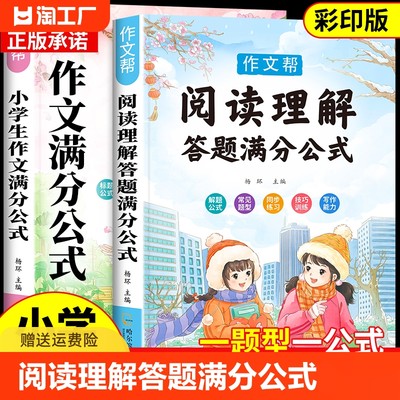 阅读理解专项训练书小学通用