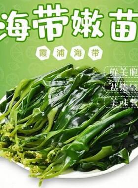 海带苗嫩苗霞浦新鲜一级海带嫩苗嫩芽火锅天然商用海鲜干货裙带菜
