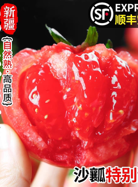 新疆普罗旺斯沙瓤水果西红柿