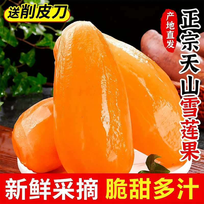 正宗天山雪莲果新鲜水果当季现挖脆甜大果红心黄心雪连果孕妇水果,水产肉类/新鲜蔬果/熟食,雪莲果,淘宝优惠券,粉丝福利购,淘宝优惠卷