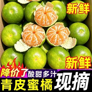 正宗云南青皮蜜橘5斤新鲜水果当季蜜桔柑橘桔子孕妇大果整箱无籽