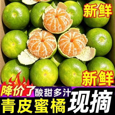 正宗云南青皮蜜橘5斤新鲜水果当季蜜桔柑橘桔子孕妇整箱无籽优选