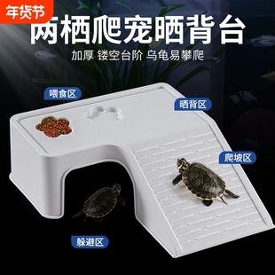 乌龟缸晒台创意爬台造景遮蔽屋晒背台爬坡家用循环生态缸装饰爬台
