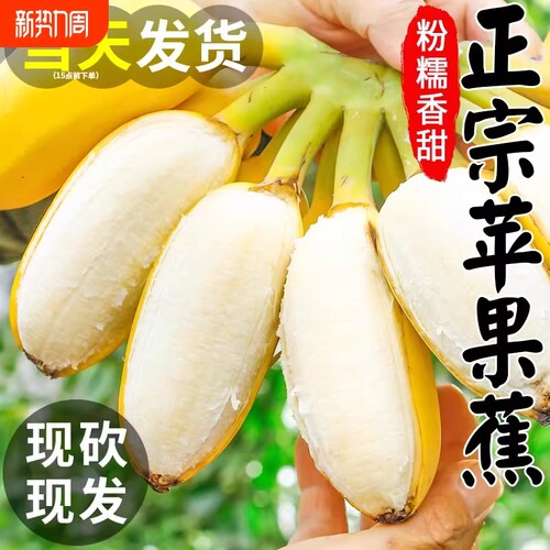 苹果蕉正宗香蕉小米蕉5斤新鲜水果当季整箱自然熟芭蕉包邮粉蕉9斤
