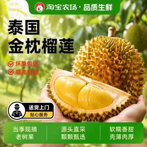 正宗进口泰国金枕榴莲当季新鲜一整个带壳鲜果顺丰包邮现摘农场