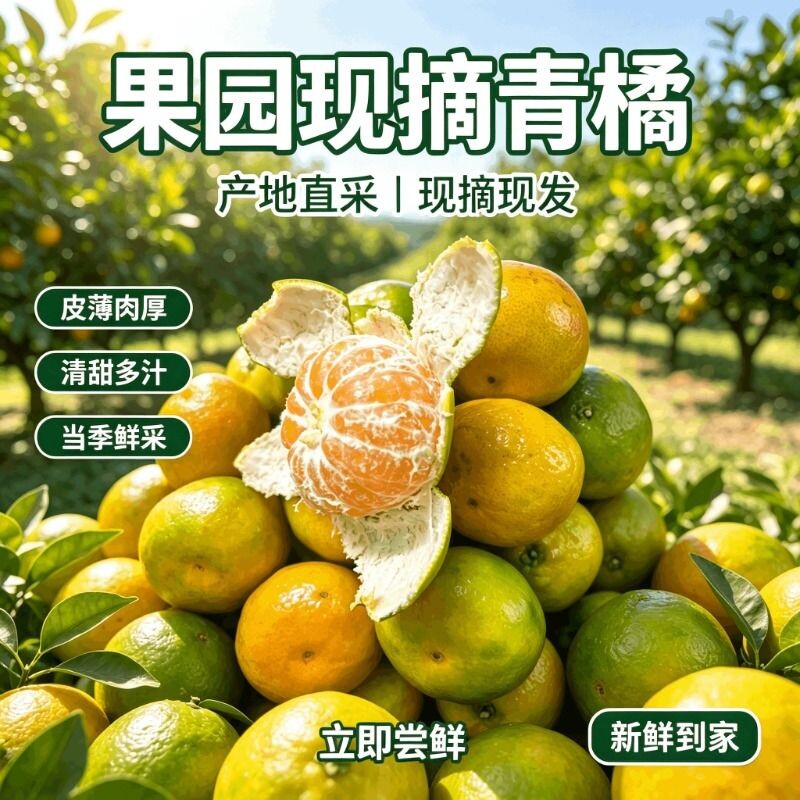 橘子新鲜现摘青皮橘子酸甜薄皮蜜桔无籽桔子新鲜水果