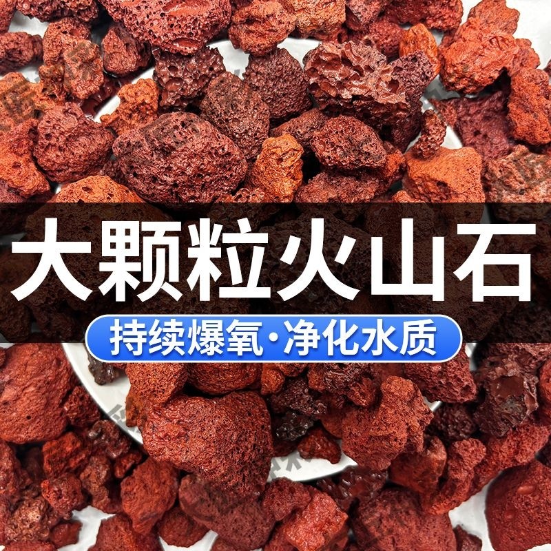 火山石小颗粒盆栽水族通用天然免洗玄武岩营养土铺面垫底天然滤材
