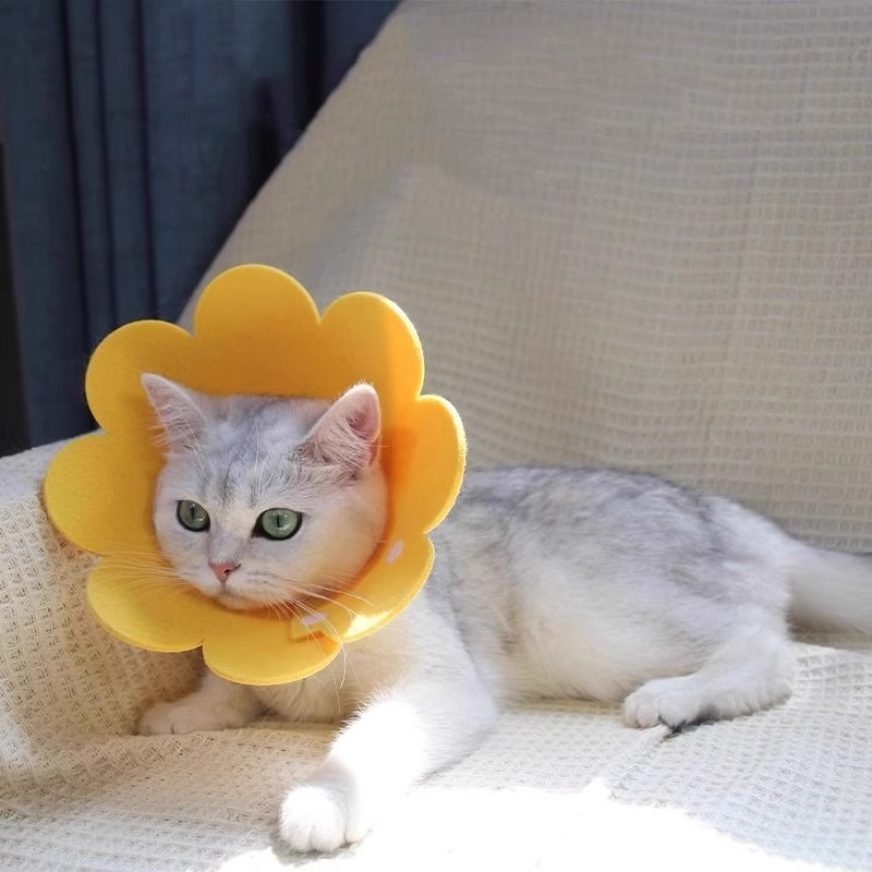 伊丽莎白圈猫咪绝育项圈防舔围脖圈颈圈柔软头套狗狗宠物用品吃饭