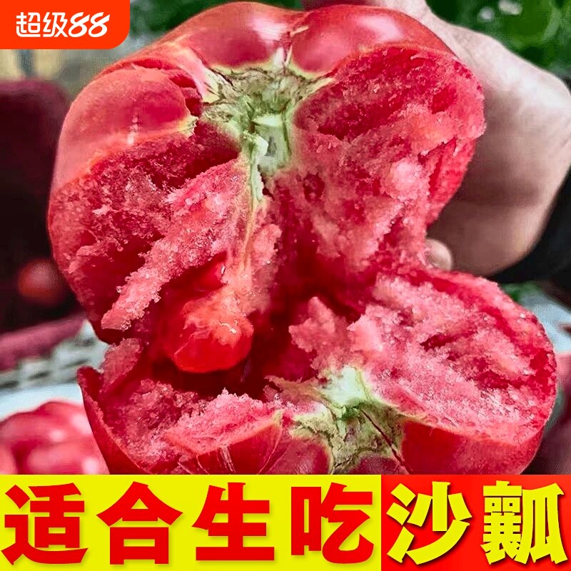 甘肃沙漠沙瓤西红柿现摘现发口口爆汁酸甜可口原产地直发京东包邮