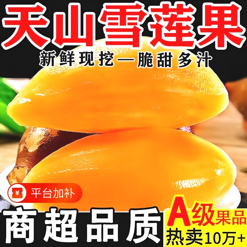 正宗云南天山雪莲果新鲜现挖雪莲果新鲜当季黄心白心雪莲果9斤