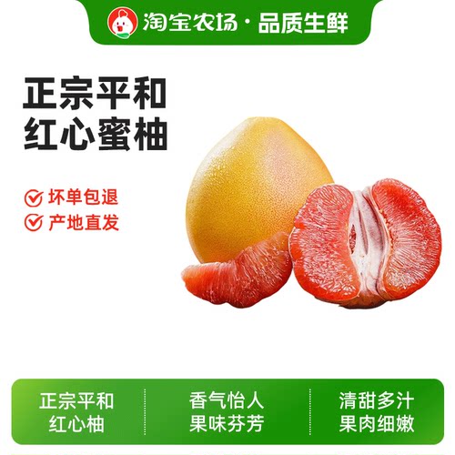 福建平和琯溪老树红心蜜柚1粒装