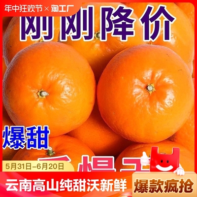 云南高山沃柑1000g&plusmn100g/份新鲜当季水果橘子蜜桔砂糖大果