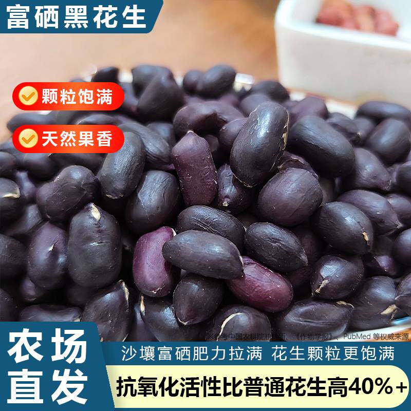 农家富硒黑花生米满满花青素种植代餐打豆浆都合适新货晒干瓜子
