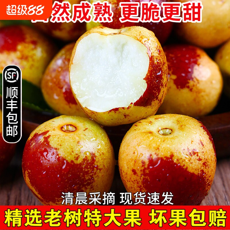 冬枣新鲜脆甜冰糖特大枣子红枣5斤当季水果顺丰产自陕西大荔