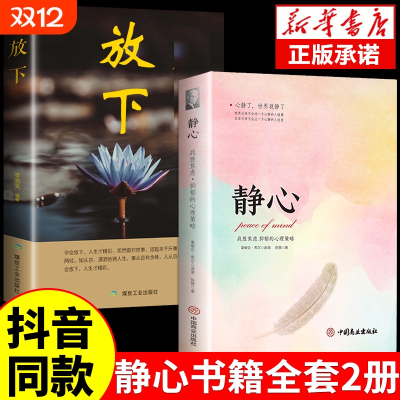 静心书籍放下人生必读正版智慧哲学青春励志心灵鸡汤系修心修身养性哲理必看的书畅销书排行榜成人自我情绪医生做自己情感语录阅读