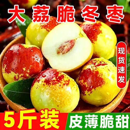 现摘陕西大荔冬枣新鲜水果当季冰糖脆甜枣子5斤整箱包邮源头采摘