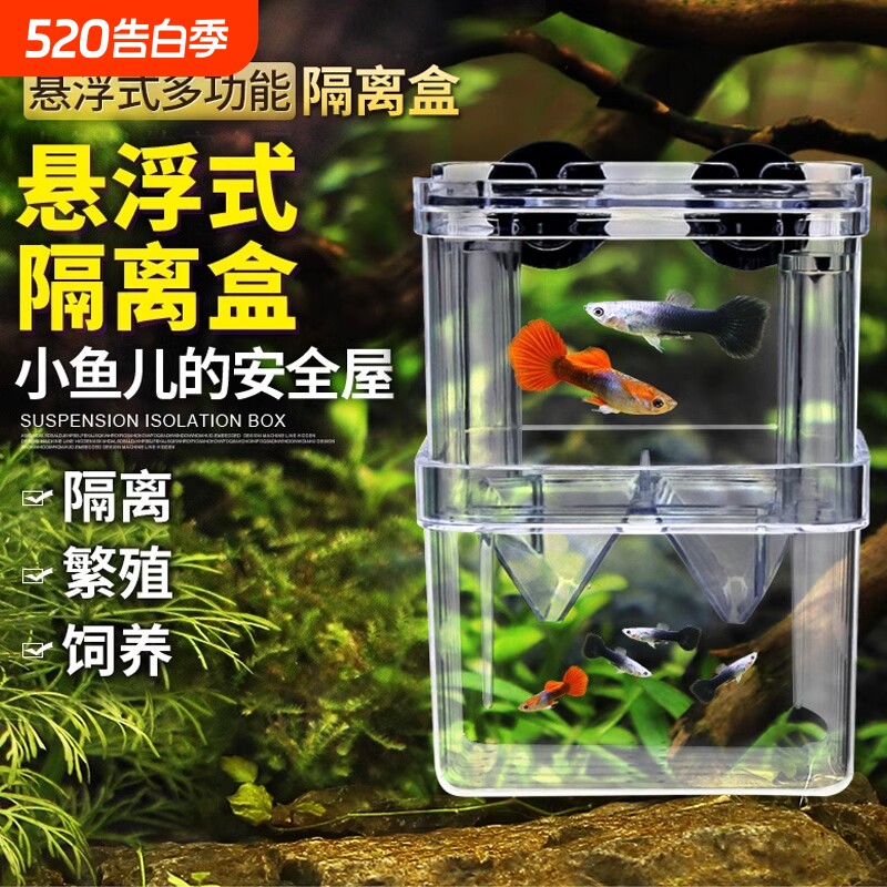 鱼缸隔离盒孔雀鱼繁殖盒凤尾斑马母鱼产房小鱼缸内胎生鱼幼鱼孵化