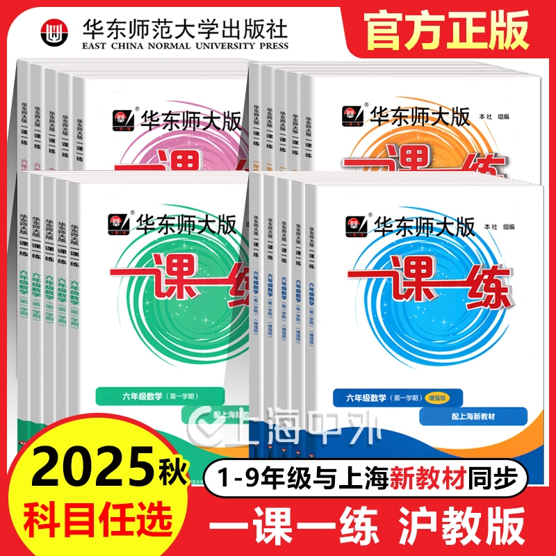 2025华东师大版一课一练沪教版