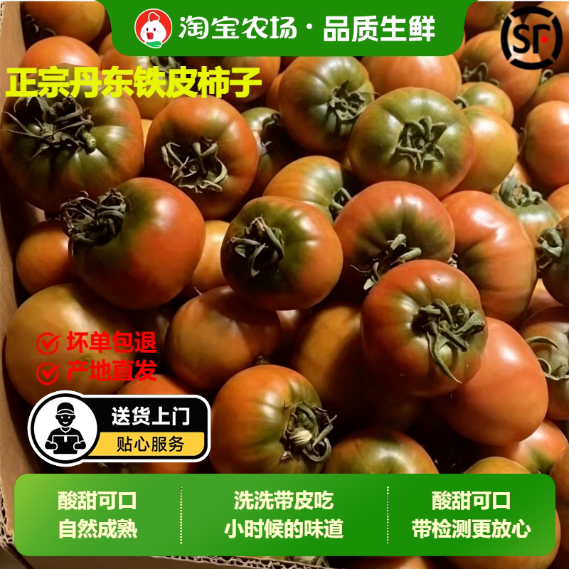 正宗铁皮草莓柿子新鲜当季西红柿生吃水果东北番茄酸甜顺丰包邮