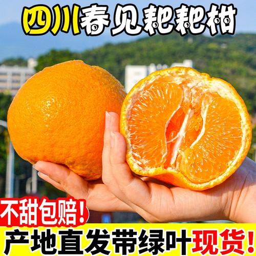 正宗四川春见耙耙柑爆甜粑粑柑新鲜孕妇水果当季整箱柑橘子蜜桔子