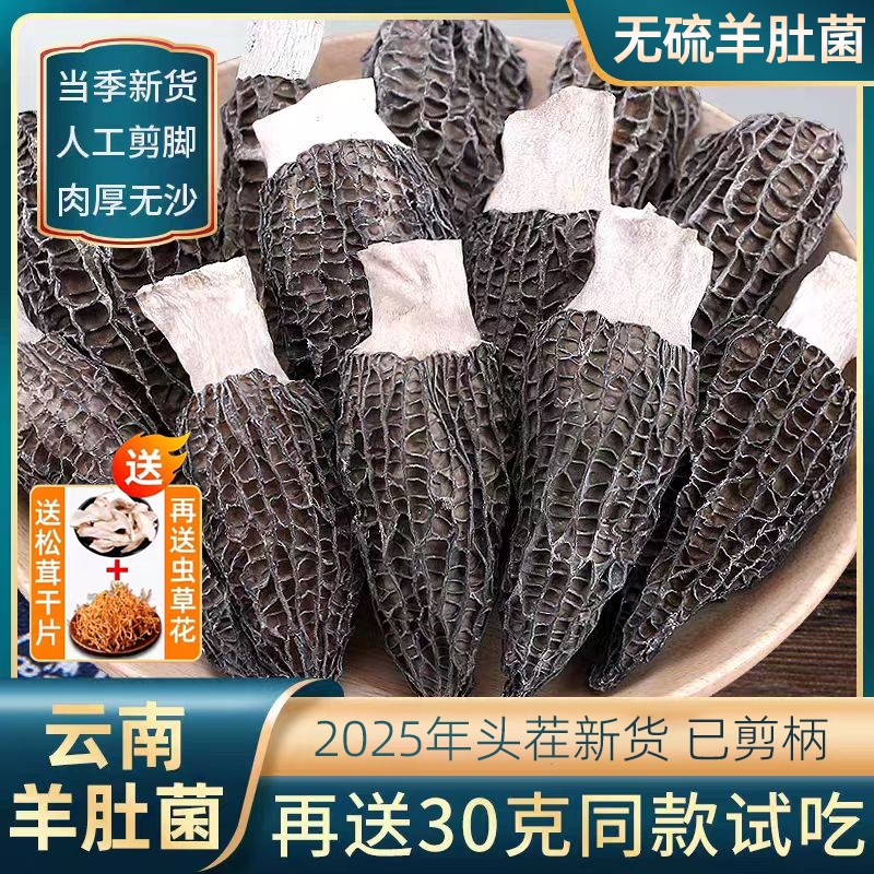 25年特选头茬8-12cm羊肚菌干货特产野云南全剪柄菌菇汤包煲汤食材