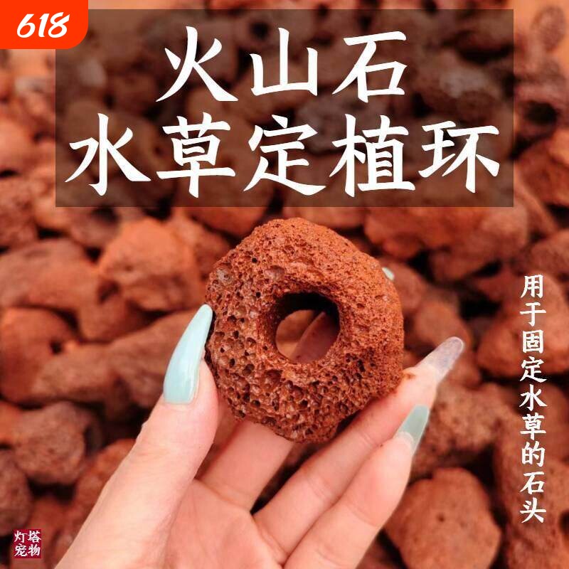 火山石定植环天然水草打孔培菌鱼缸造景净化水质固定底座矮珍珠