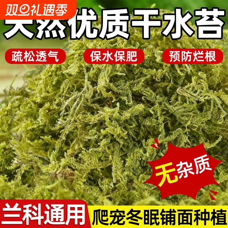 新鲜干苔藓蝴蝶兰花专用水苔青苔铁皮兰花种植育苗营养土爬宠垫材