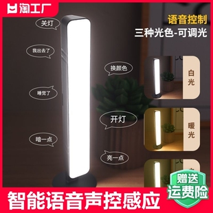 智能语音小夜灯声控感应台灯led婴儿usb卧室睡眠灯床头灯控制电池