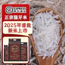 泰国香米大米猫牙米长粒香2025年新米正宗丝苗米10斤真空一袋籼米