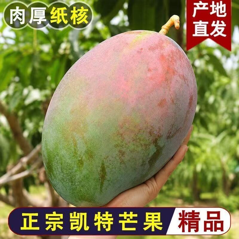 四川攀枝花凯特芒5斤 9.2元 - 86线报