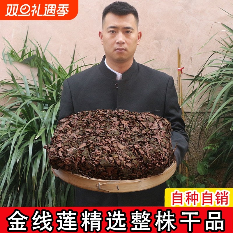 福建正宗金线莲官方旗舰店林下种植干货野生中药材滋补养生茶新鲜