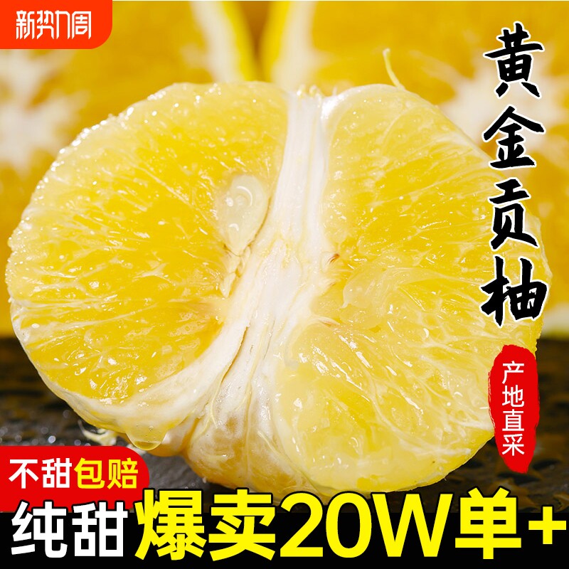 胡柚湖南黄金贡柚10斤包邮怀化新鲜当季水果春香象山青阳光鲜果