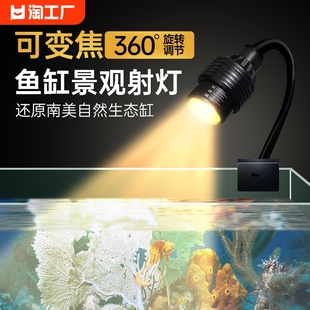 鱼缸灯变焦灯南美射灯原生溪流缸灯水族观赏灯照明led防水水草灯