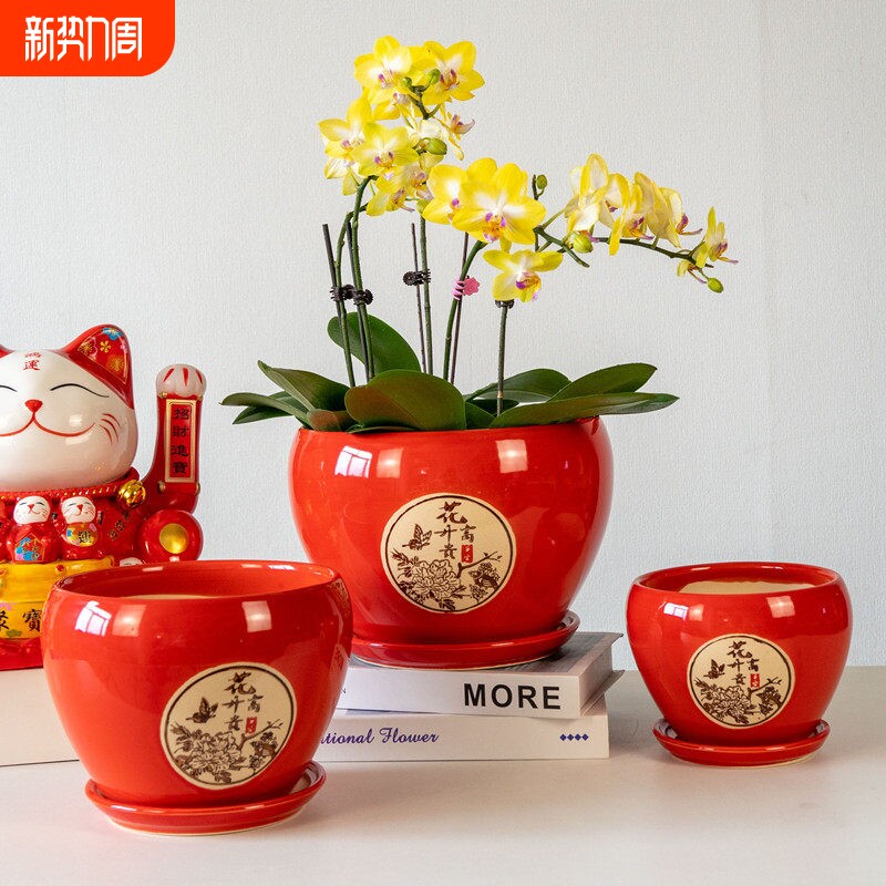 花盆陶瓷特大号创意个性家用桌面蝴蝶兰绿萝盆栽盆带陶托盘客厅