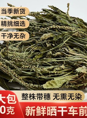 车前草野生干货官方旗舰店正品500g泡水喝整株中药材夏枯草新鲜