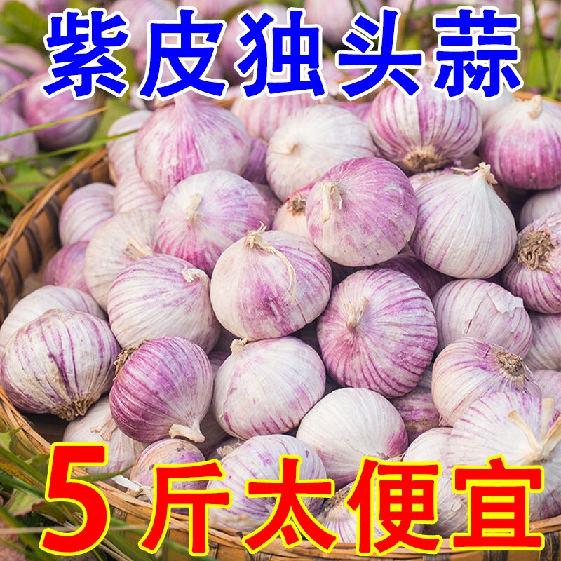 云南精选独头蒜干紫皮蒜独蒜香头大蒜头新鲜优质蒜干蒜大小果可选