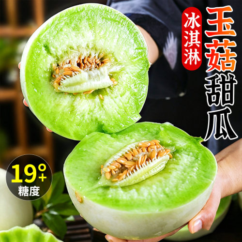 【9斤玉菇甜瓜】香甜多汁