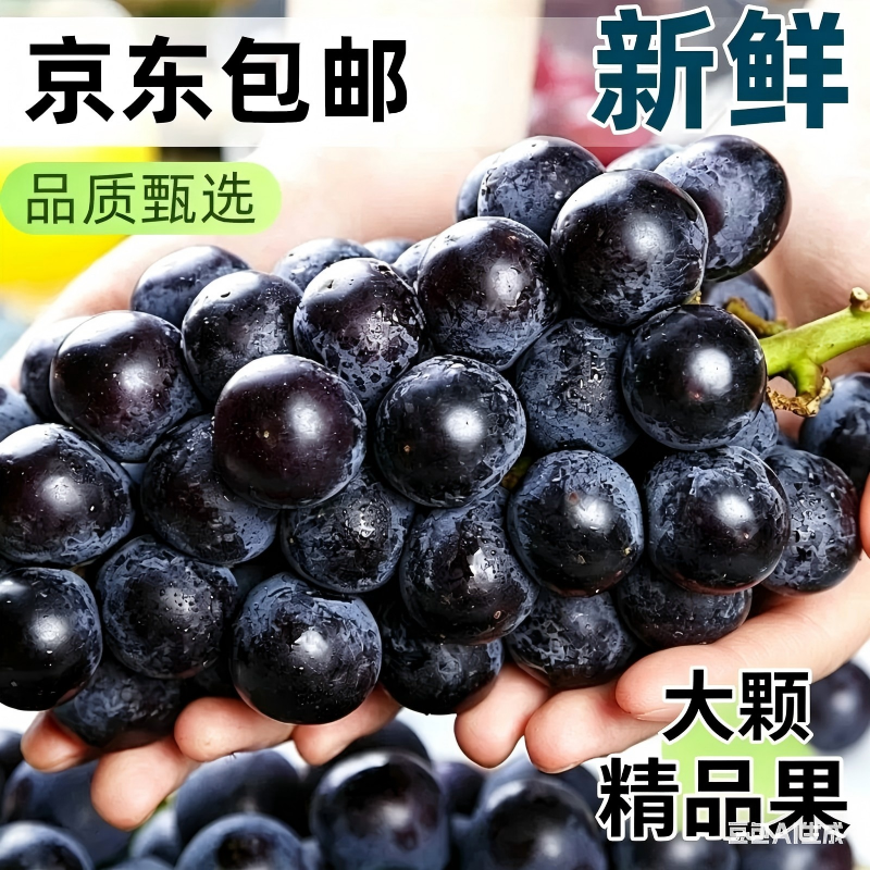 云南夏黑葡萄5斤新鲜当季黑加仑无籽孕妇水果整箱京东包邮果肉