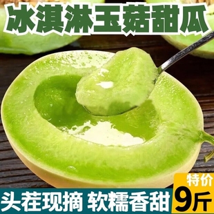 时令玉茹 包邮 冰淇淋蜜瓜香瓜整箱 山东玉菇甜瓜9斤新鲜水果当季