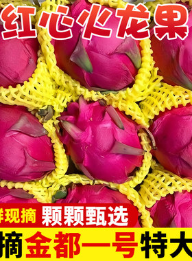 正宗5斤红心火龙果香甜多汁
