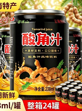 酸角汁果味饮料烧烤火锅餐饮果汁