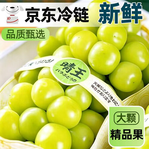 云南阳光玫瑰葡萄当季新鲜时令水果孕妇整箱包邮提子无籽晴王无核