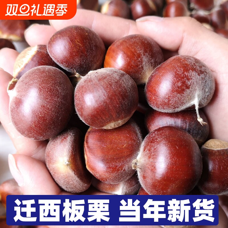 3斤正宗野生新鲜板栗迁西燕山唐山河北油栗特产小栗子新货去皮