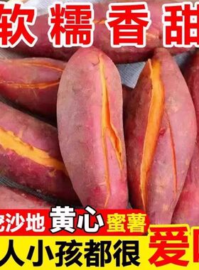 新鲜现挖板栗红薯黄心蜜薯批发价