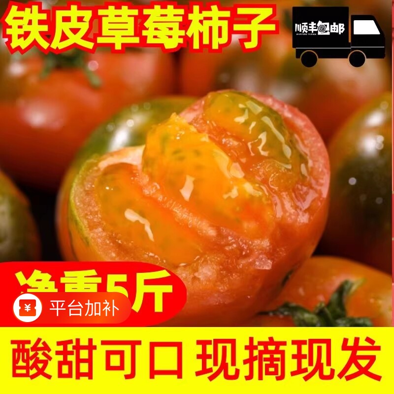 丹东草莓柿子西红柿新鲜自然熟铁皮柿子盘锦碱地生吃水果番茄顺丰