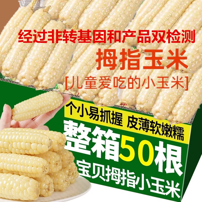 【适合宝宝的小玉米】皮薄无渣