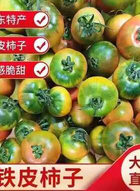 丹东草莓柿子番茄铁皮柿子绿腚新鲜生吃西红柿自然熟正宗顺丰包邮