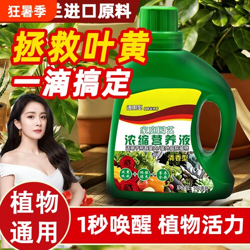 植物绿植营养液富贵竹通用型绿萝发财树多肉水培养花卉盆栽花肥料