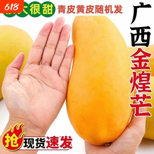 正宗广西百色金煌芒当季热带水果新鲜现摘金煌青芒果整箱包邮